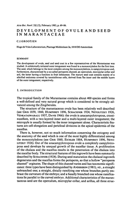 Development of Ovule and Seed in Marantaceae