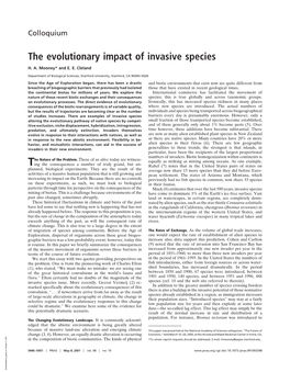 The Evolutionary Impact of Invasive Species