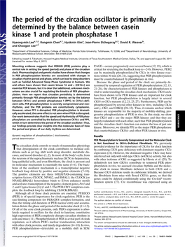 The Period of the Circadian Oscillator Is Primarily Determined by the Balance Between Casein Kinase 1 and Protein Phosphatase 1