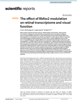 The Effect of Rbfox2 Modulation on Retinal Transcriptome and Visual