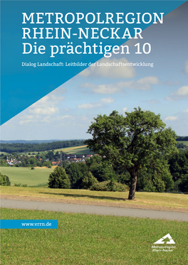 Die Prächtigen 10