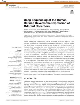 Deep Sequencing of the Human Retinae Reveals the Expression of Odorant Receptors