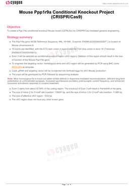 Mouse Ppp1r9a Conditional Knockout Project (CRISPR/Cas9)