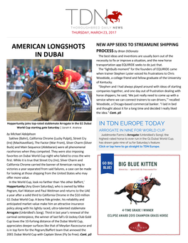 American Longshots in Dubai (Cont