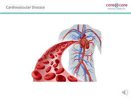 Cardiovascular Disease Session Guidelines