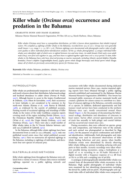 Killer Whale (Orcinus Orca) Occurrence and Predation in the Bahamas