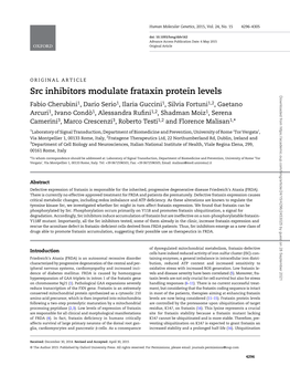 Src Inhibitors Modulate Frataxin Protein Levels