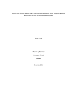 Investigation Into the Effect of LRRK2-Rab10 Protein Interactions on the Proboscis Extension Response of the Fruit Fly Drosophila Melanogaster