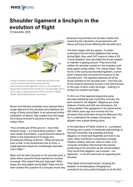 Shoulder Ligament a Linchpin in the Evolution of Flight 18 December 2006