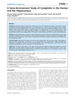 A Gene-Environment Study of Cytoglobin in the Human and Rat Hippocampus