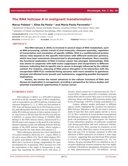 The RNA Helicase a in Malignant Transformation