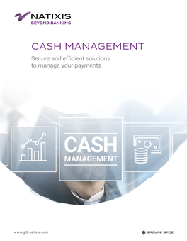 CASH MANAGEMENT Secure and Efficient Solutions to Manage Your Payments