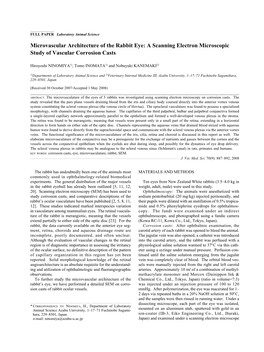 Microvascular Architecture of the Rabbit Eye: a Scanning Electron Microscopic Study of Vascular Corrosion Casts