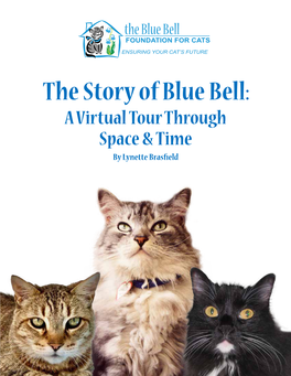 The Story of Blue Bell: a Virtual Tour Through Space & Time by Lynette Brasfield Blue Bell