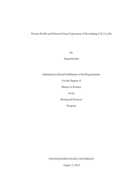 Rashid Thesis 2015