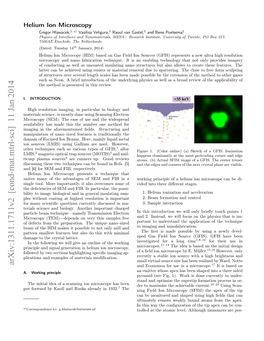 Helium Ion Microscopy