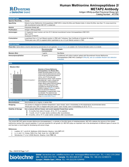 Human Methionine Aminopeptidase 2/ METAP2 Antibody Antigen Affinity-Purified Polyclonal Sheep Igg Catalog Number: AF3795