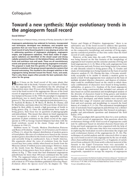 Major Evolutionary Trends in the Angiosperm Fossil Record