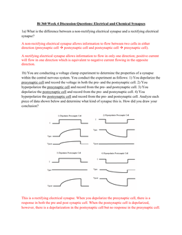 Bi 360 Week 4 Discussion Questions: Electrical and Chemical Synapses