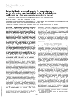 Potential Brain Neuronal Targets for Amphetamine-, Methylphenidate