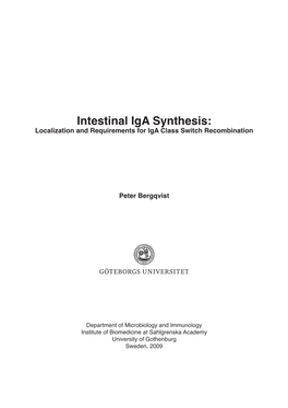 Intestinal Iga Synthesis: Localization and Requirements for Iga Class Switch Recombination