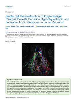 Single-Cell Reconstruction of Oxytocinergic Neurons Reveals Separate Hypophysiotropic and Encephalotropic Subtypes in Larval Zebrafish