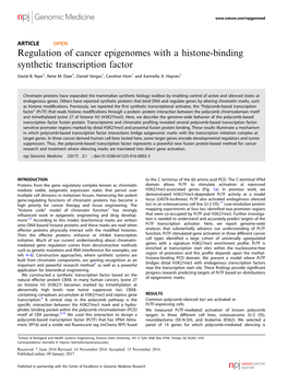 Regulation of Cancer Epigenomes with a Histone-Binding Synthetic Transcription Factor