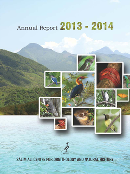 Annual Report