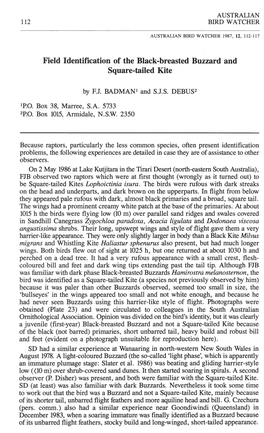 Field Identification of the Black-Breasted Buzzard and Square-Tailed Kite