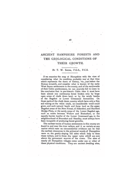 Ancient Hampshire Forests and the Geological Conditions of Their Growth