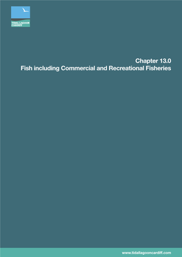 Chapter 13.0 Fish Including Commercial and Recreational Fisheries