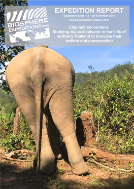 Elephant Encounters: Studying Asian Elephants in the Hills of Northern Thailand to Increase Their Welfare and Conservation EXPEDITION REPORT