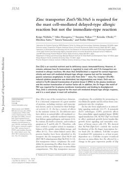 Zinc Transporter Znt5/Slc30a5 Is Required for the Mast Cell–Mediated Delayed-Type Allergic Reaction but Not the Immediate-Type Reaction