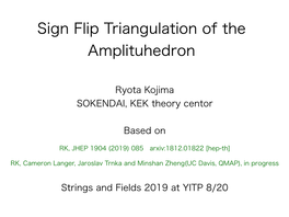 Sign Flip Triangulation of the Amplituhedron