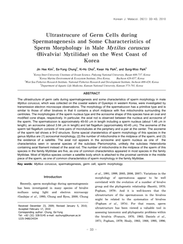 Ultrastrucure of Germ Cells During Spermatogenesis