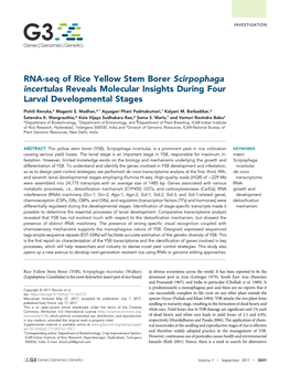 RNA-Seq of Rice Yellow Stem Borer Scirpophaga Incertulas Reveals Molecular Insights During Four Larval Developmental Stages
