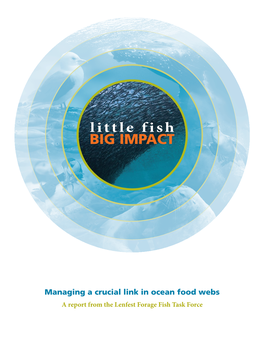 Little Fish, Big Impact: Managing a Crucial Link in Ocean Food Webs