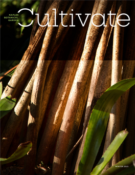 NBG-Cultivate-Winter-2021.Pdf