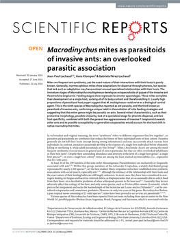 Macrodinychus Mites As Parasitoids of Invasive Ants