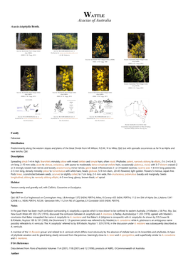 Acacia Ixiophylla Benth