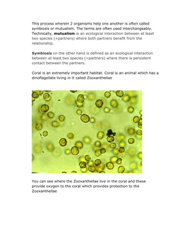 This Process Wherein 2 Organisms Help One Another Is Often Called Symbiosis Or Mutualism