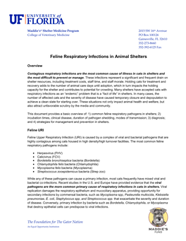 Feline Respiratory Infections in Animal Shelters