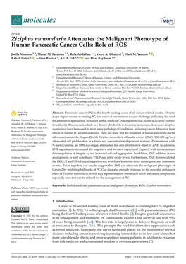 Ziziphus Nummularia Attenuates the Malignant Phenotype of Human Pancreatic Cancer Cells: Role of ROS