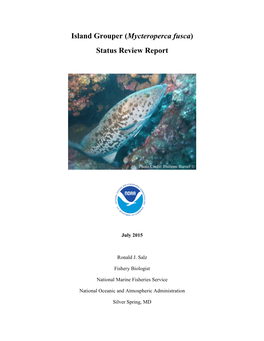 Islnad Grouper Status Review 2015