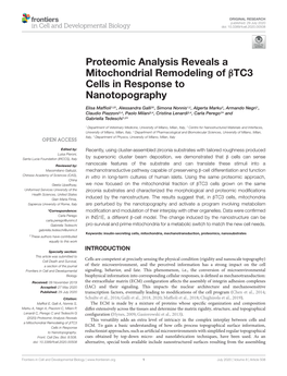 Proteomic Analysis Reveals a Mitochondrial Remodeling of Βtc3 Cells in Response to Nanotopography