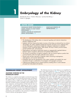 Embryology of the Kidney Rizaldy Paz Scott | Yoshiro Maezawa | Jordan Kreidberg | Susan E