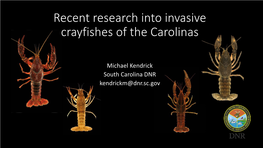 Recent Research Into Invasive Crayfish of the Carolinas