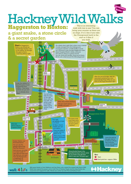 Haggerston to Hoxton Wild Walk