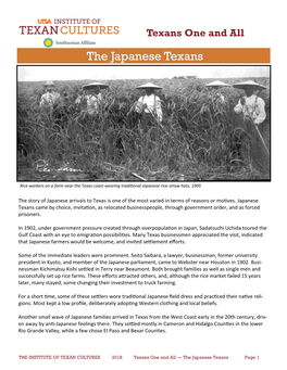 The Japanese Texans