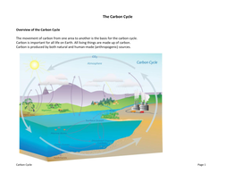 The Carbon Cycle